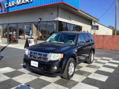 2010 Ford Escape