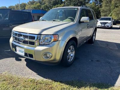 2010 Ford Escape