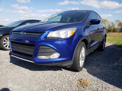 2014 Ford Escape