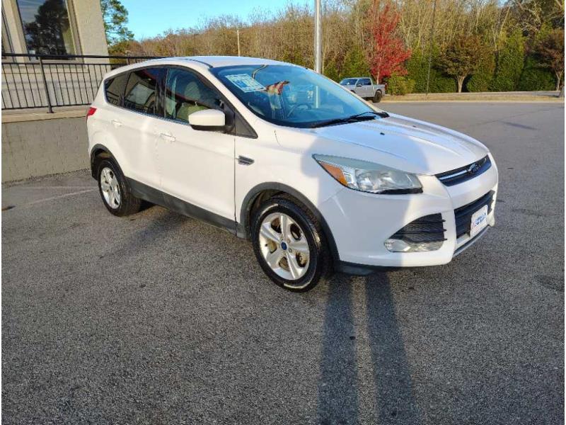 2014 Ford Escape | America's Car-Mart