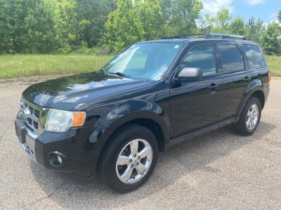 2010 Ford Escape