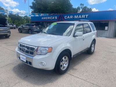 2010 Ford Escape