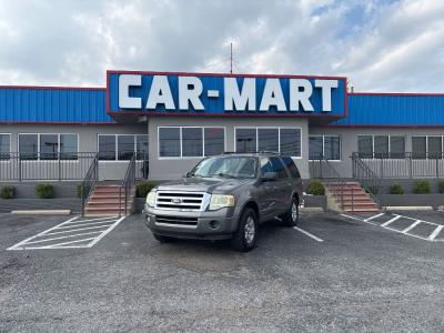 2010 Ford Expedition