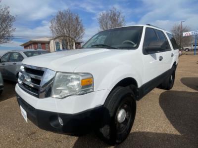 2010 Ford Expedition