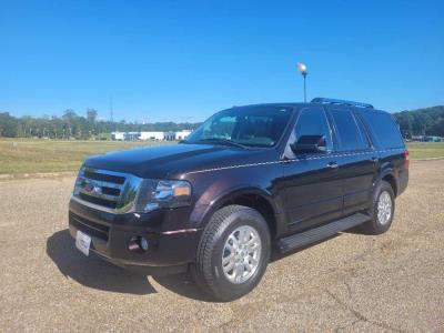 2013 Ford Expedition