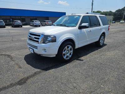 2013 Ford Expedition