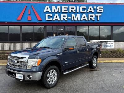 2013 Ford F150