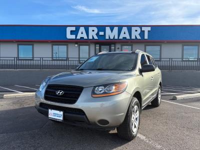 2009 Hyundai Santa Fe