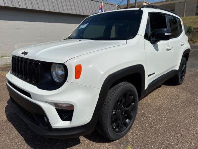 2022 Jeep Renegade